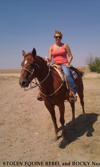 STOLEN EQUINE REBEL and ROCKY Near hasty, CO, 81044